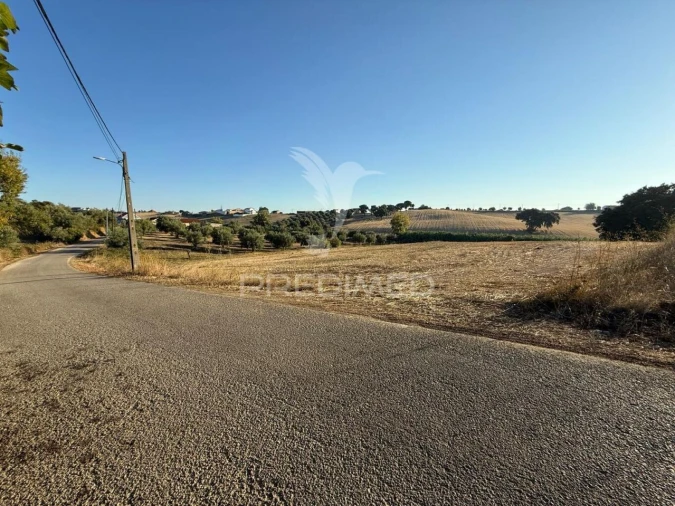Terreno para Venda em Achete, Azoia de Baixo e Póvoa de Santarém Foto 8