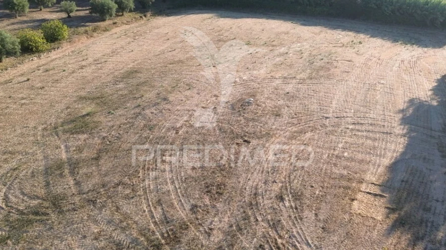Terreno para Venda em Achete, Azoia de Baixo e Póvoa de Santarém
