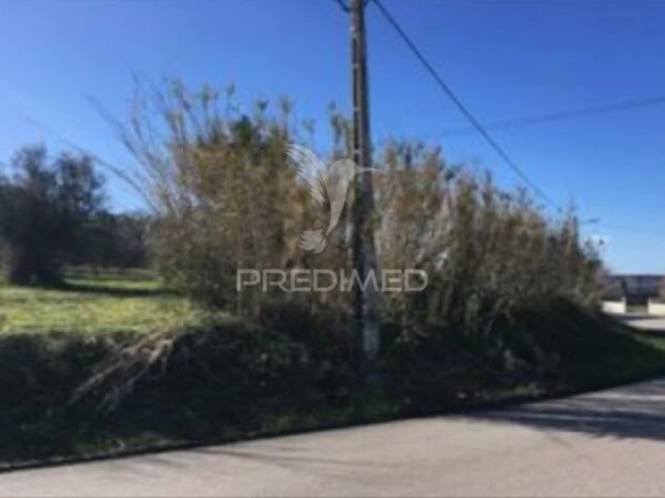 Terreno para Venda em Cantanhede e Pocariça Foto 2