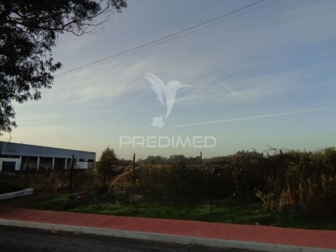 Terreno para Venda em Ovar, São João, Arada e São Vicente de Pereira Jusã Foto 1
