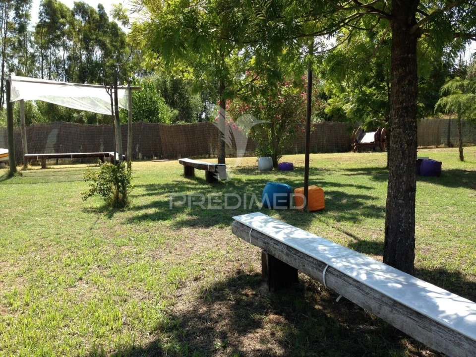 Quinta T3 para Venda em Alvega e Concavada Foto 10