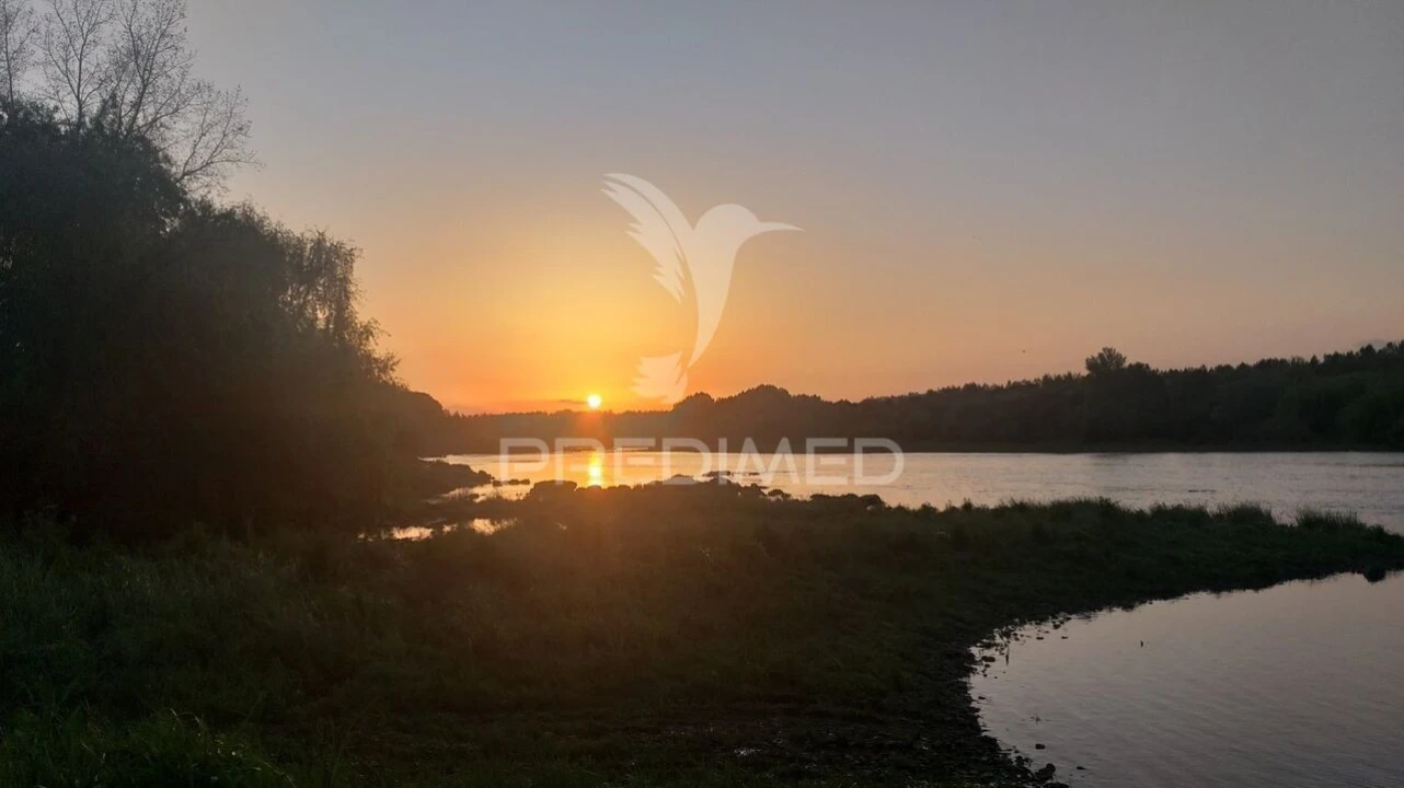 Quinta T3 para Venda em Alvega e Concavada Foto 17