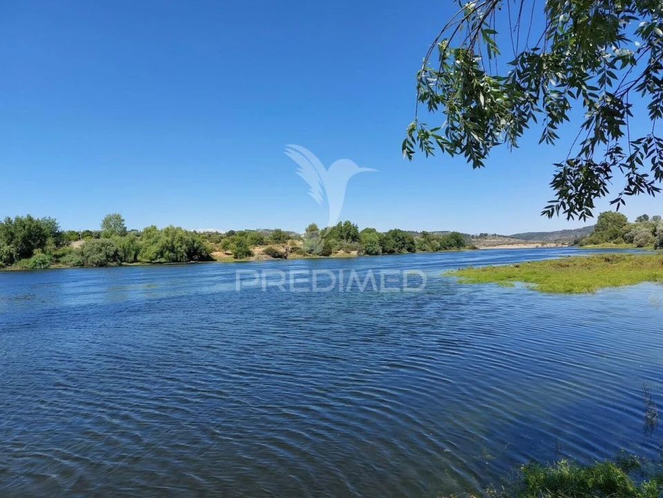 Quinta T3 para Venda em Alvega e Concavada Foto 22