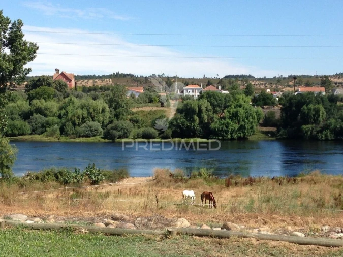 Quinta T3 para Venda em Alvega e Concavada Foto 8