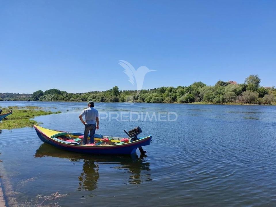 Quinta T3 para Venda em Alvega e Concavada Foto 21