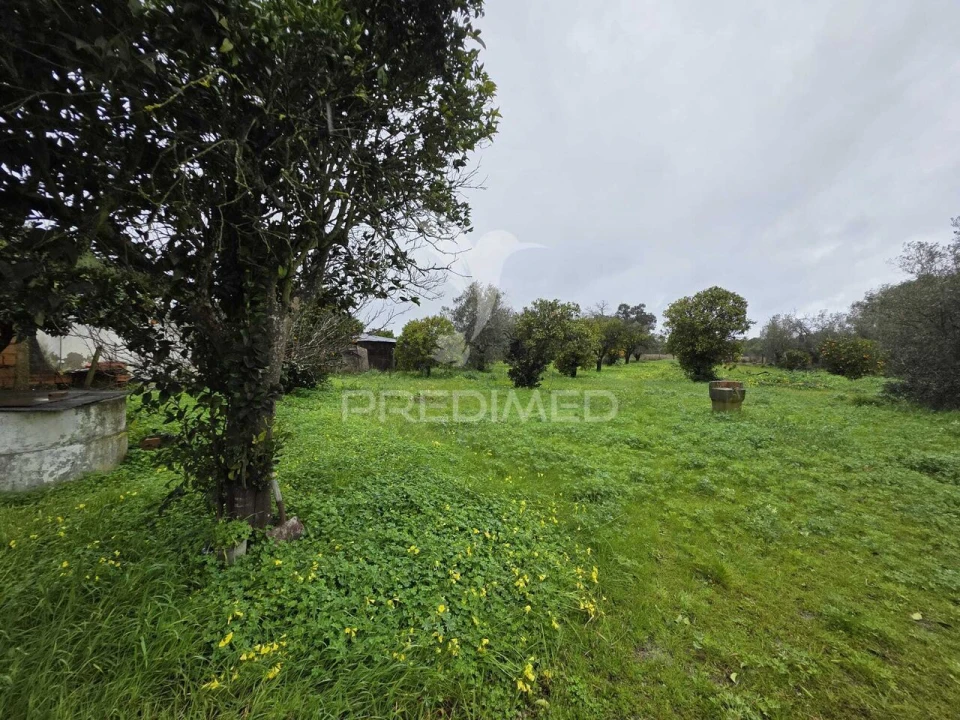 Moradia T2 para Venda em Grândola e Santa Margarida da Serra Foto 27