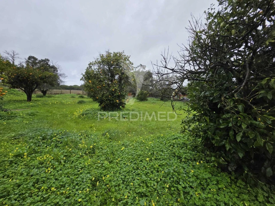 Moradia T2 para Venda em Grândola e Santa Margarida da Serra Foto 25