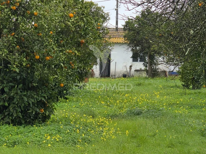 Moradia T2 para Venda em Grândola e Santa Margarida da Serra Foto 22