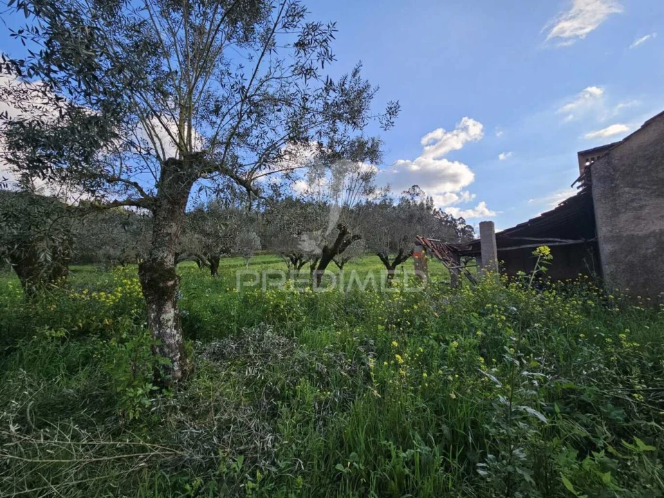 Moradia T3 para Venda em Areias e Pias Foto 13