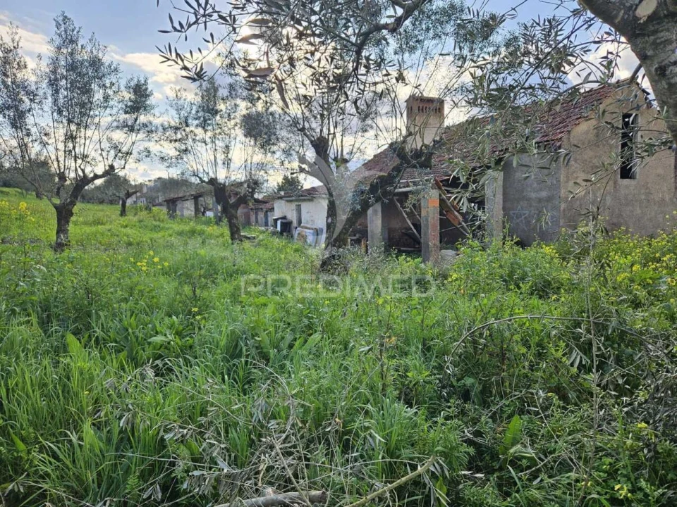 Moradia T3 para Venda em Areias e Pias Foto 4