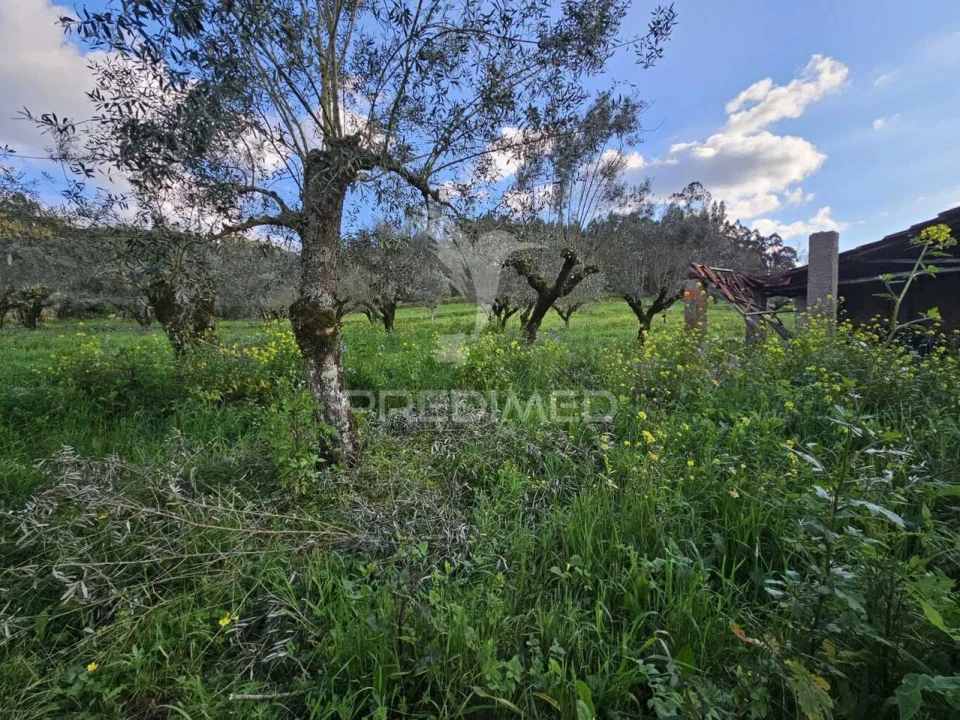 Moradia T3 para Venda em Areias e Pias Foto 10