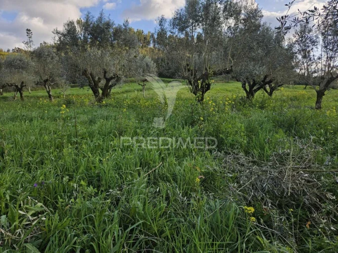 Moradia T3 para Venda em Areias e Pias Foto 11