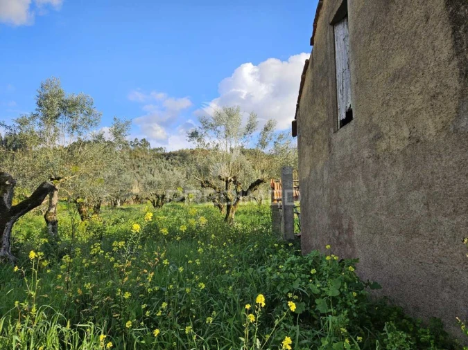 Moradia T3 para Venda em Areias e Pias Foto 9