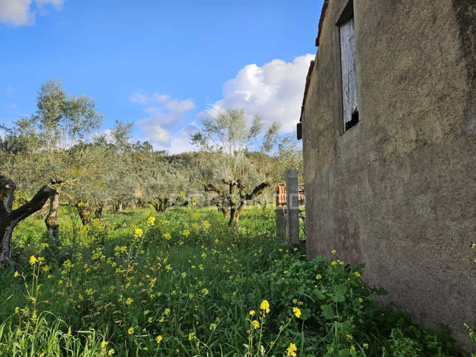 Moradia T3 para Venda em Areias e Pias Foto 9