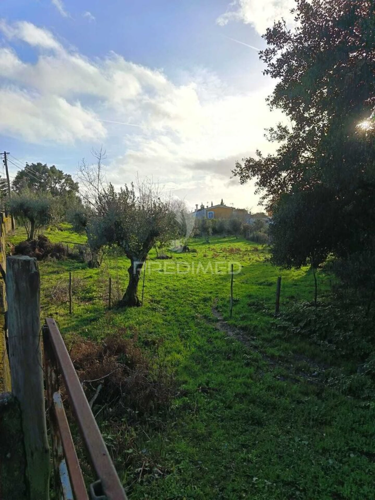 Quinta T3 para Venda em Ribeira de Nisa e Carreiras Foto 8