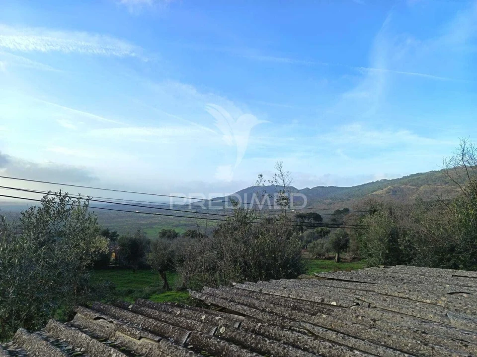Quinta T3 para Venda em Ribeira de Nisa e Carreiras Foto 7
