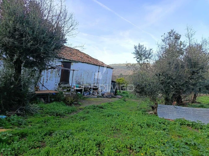 Quinta T3 para Venda em Ribeira de Nisa e Carreiras Foto 3