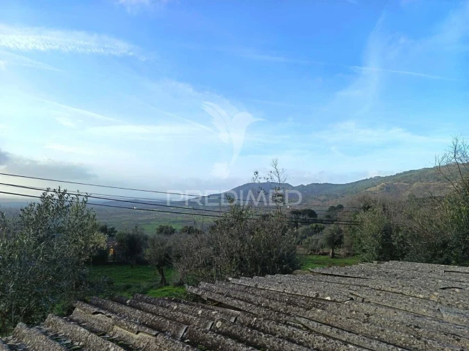Quinta T3 para Venda em Ribeira de Nisa e Carreiras Foto 7
