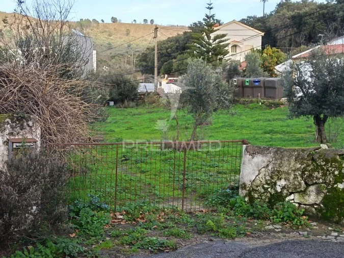 Quinta T3 para Venda em Ribeira de Nisa e Carreiras Foto 4