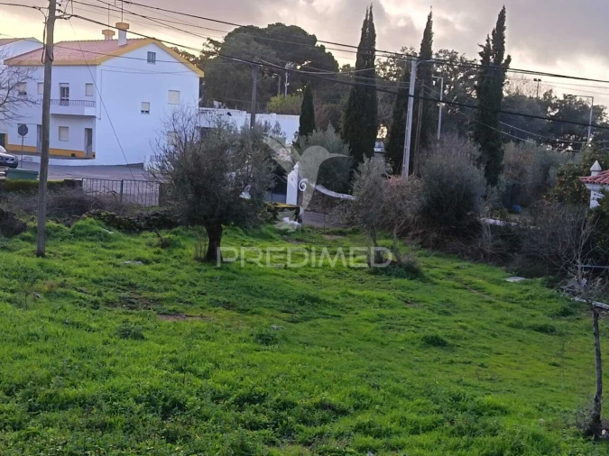 Quinta T3 para Venda em Ribeira de Nisa e Carreiras Foto 5