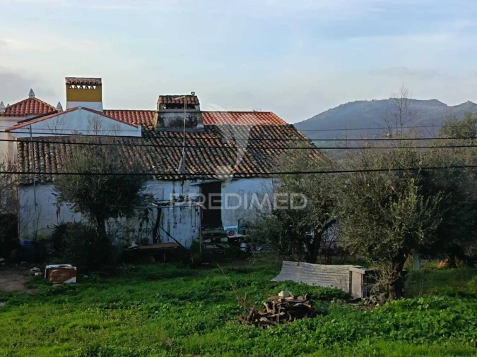 Quinta T3 para Venda em Ribeira de Nisa e Carreiras Foto 2