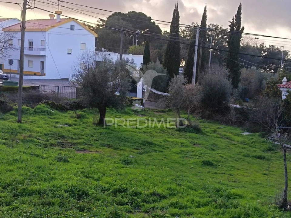 Quinta T3 para Venda em Ribeira de Nisa e Carreiras Foto 5