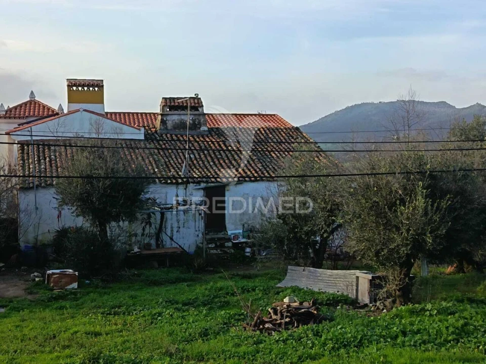 Quinta T3 para Venda em Ribeira de Nisa e Carreiras Foto 2