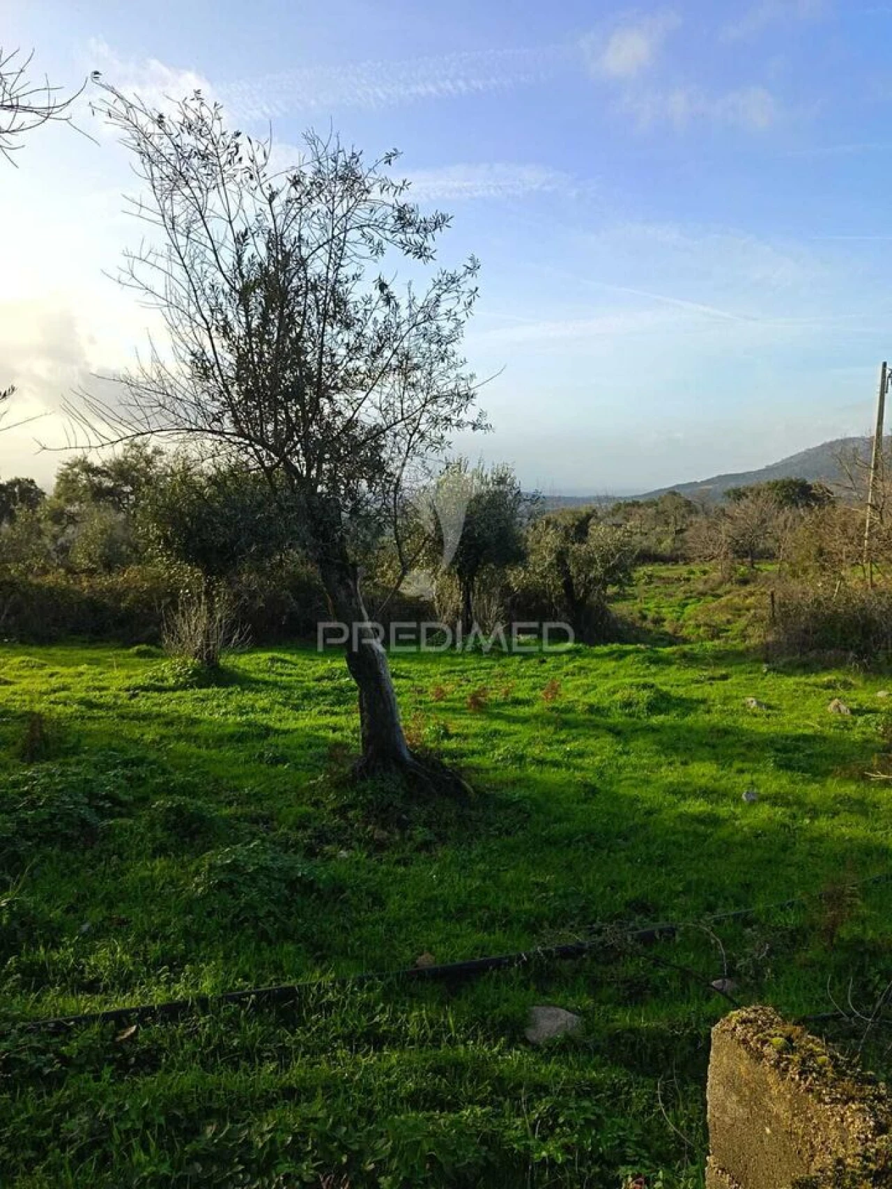 Quinta T3 para Venda em Ribeira de Nisa e Carreiras Foto 9