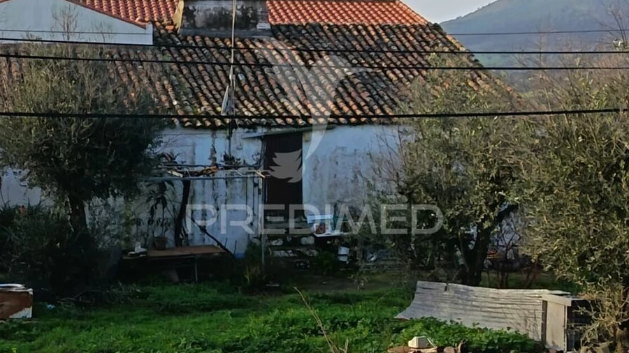Quinta T3 para Venda em Ribeira de Nisa e Carreiras