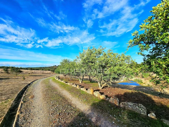 Quinta T4 para Venda em Castro Verde e Casével Foto 32
