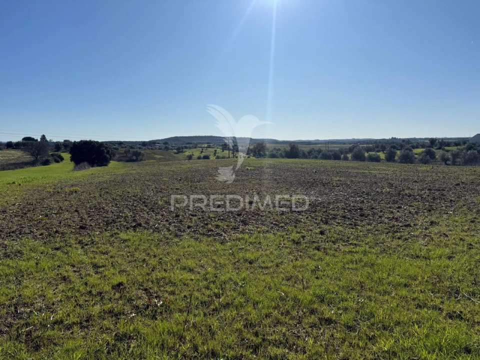 Armazém para Venda em Casével e Vaqueiros Foto 15