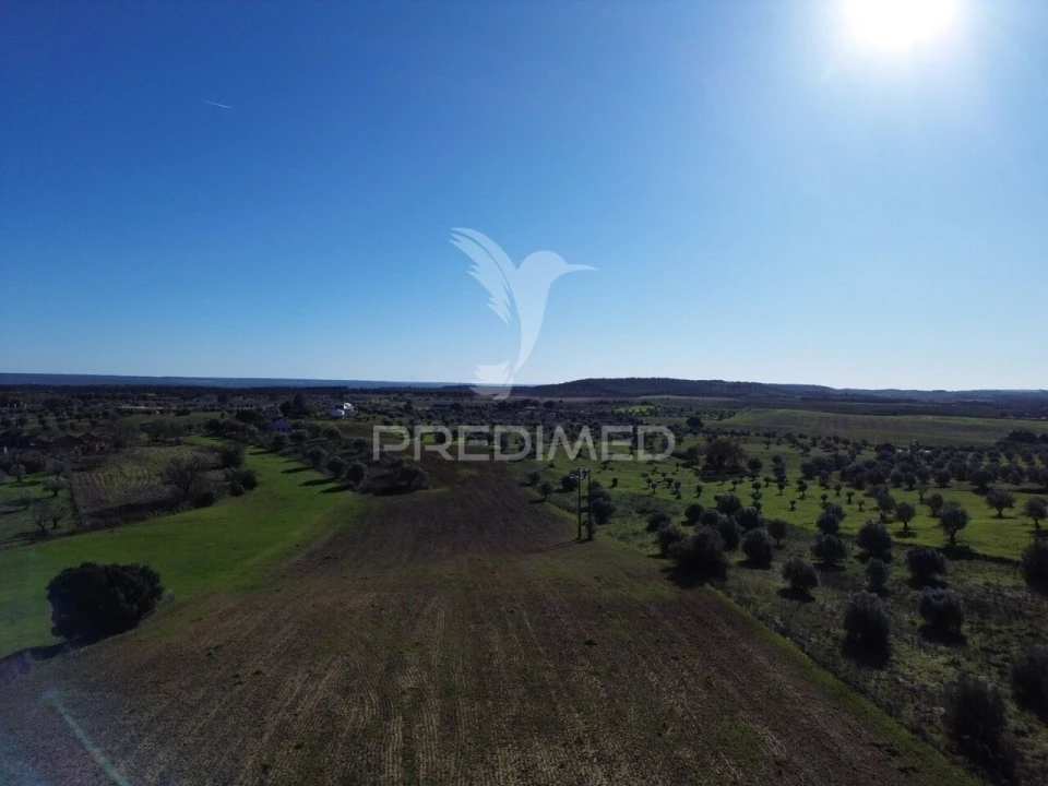 Armazém para Venda em Casével e Vaqueiros Foto 25