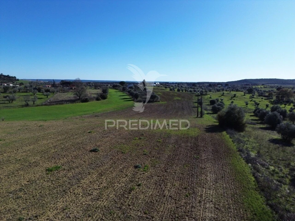 Armazém para Venda em Casével e Vaqueiros Foto 23