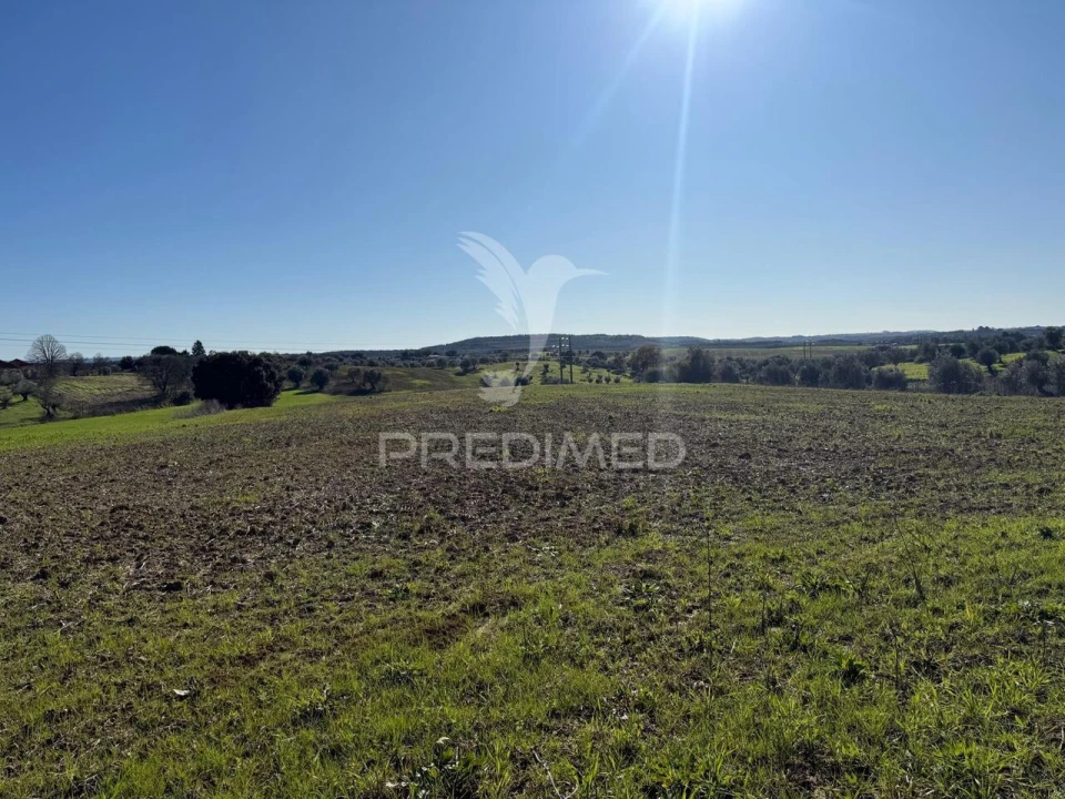 Armazém para Venda em Casével e Vaqueiros Foto 11