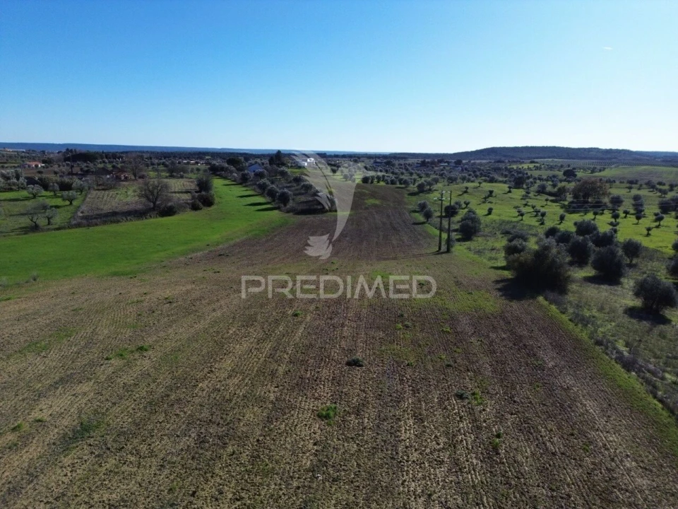 Armazém para Venda em Casével e Vaqueiros Foto 27