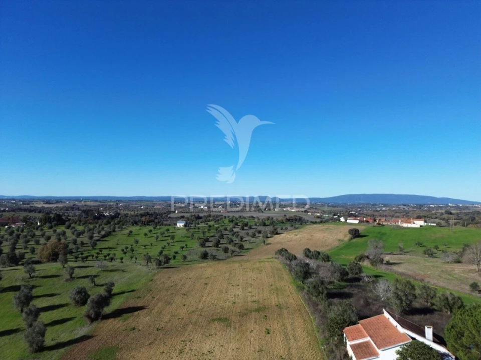 Armazém para Venda em Casével e Vaqueiros Foto 30