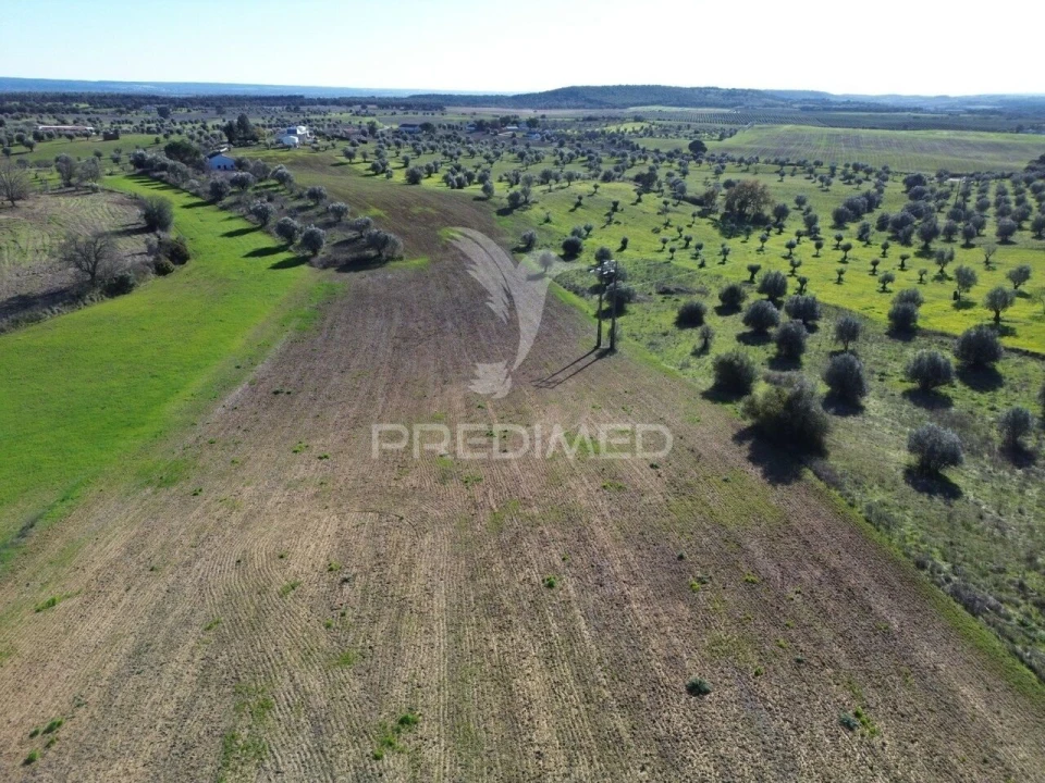Armazém para Venda em Casével e Vaqueiros Foto 26