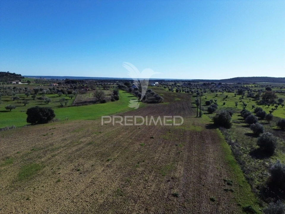 Armazém para Venda em Casével e Vaqueiros Foto 22