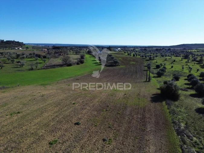 Armazém para Venda em Casével e Vaqueiros Foto 24