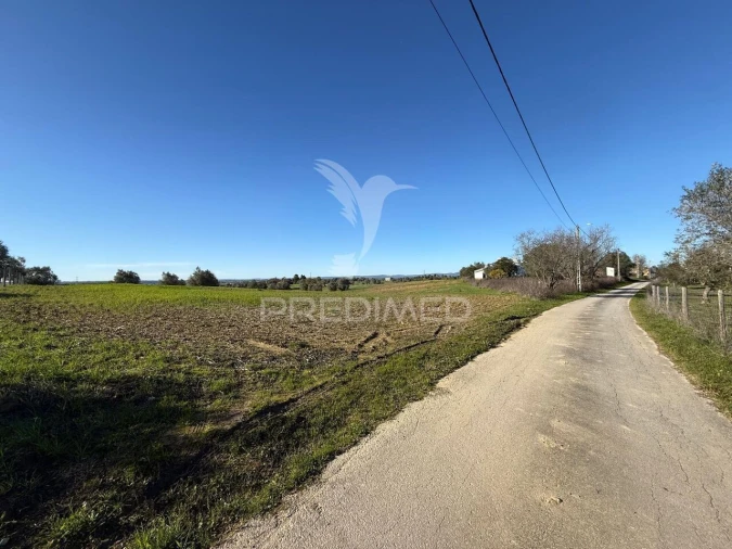 Armazém para Venda em Casével e Vaqueiros Foto 7