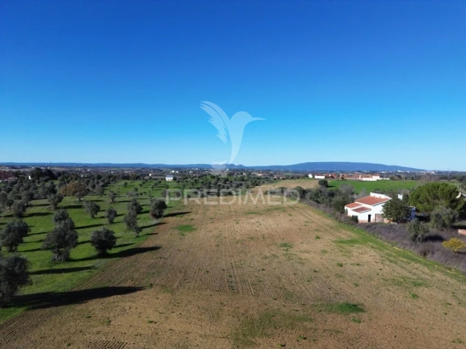 Armazém para Venda em Casével e Vaqueiros Foto 28