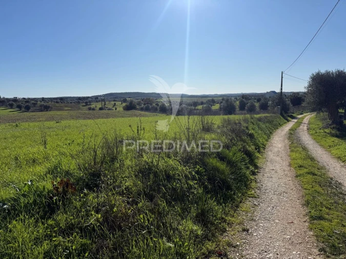 Armazém para Venda em Casével e Vaqueiros Foto 12