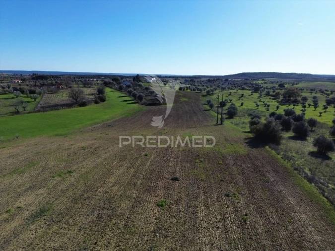 Armazém para Venda em Casével e Vaqueiros Foto 27