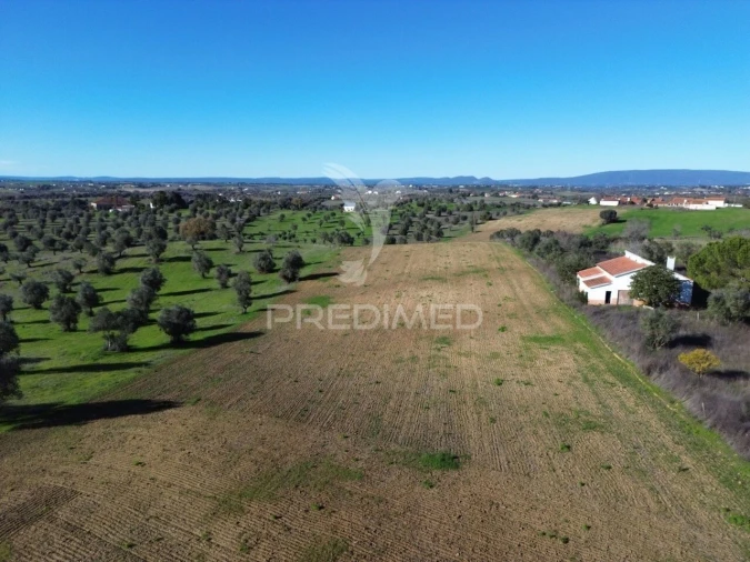 Armazém para Venda em Casével e Vaqueiros Foto 17