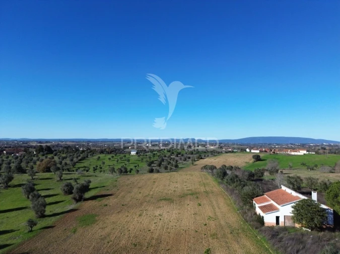 Armazém para Venda em Casével e Vaqueiros Foto 31