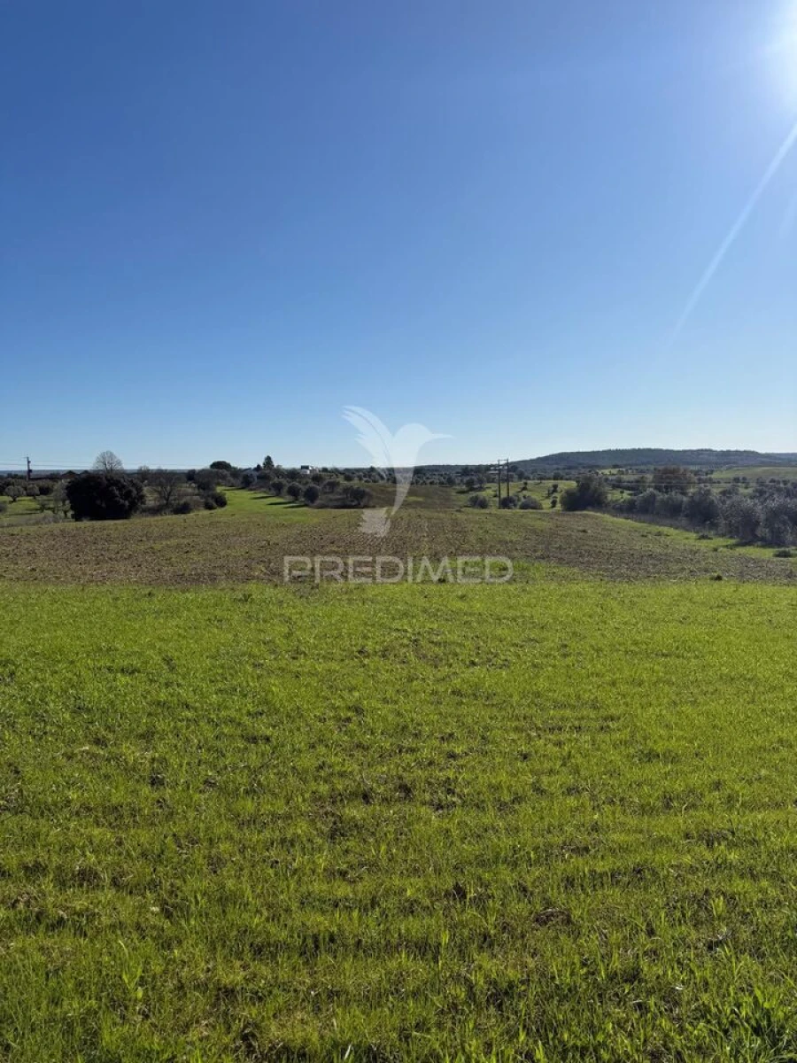 Armazém para Venda em Casével e Vaqueiros Foto 9