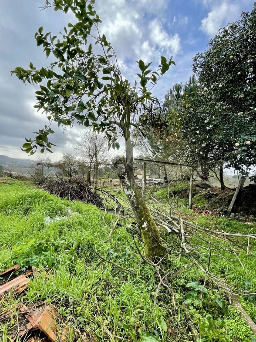 Moradia T2 para Venda em Cristelos, Boim e Ordem Foto 10