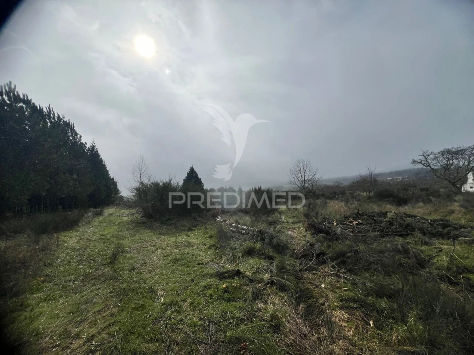 Terreno para Venda em Penedono e Granja Foto 3