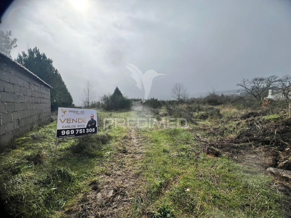Terreno para Venda em Penedono e Granja Foto 2