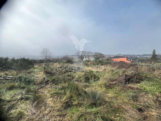Terreno para Venda em Penedono e Granja Foto 4